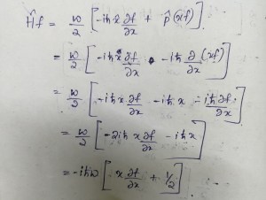 IMG_20241024_1735423382