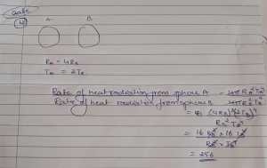 WhatsApp-Image-2024-10-07-at-12.17.13_de5316d4